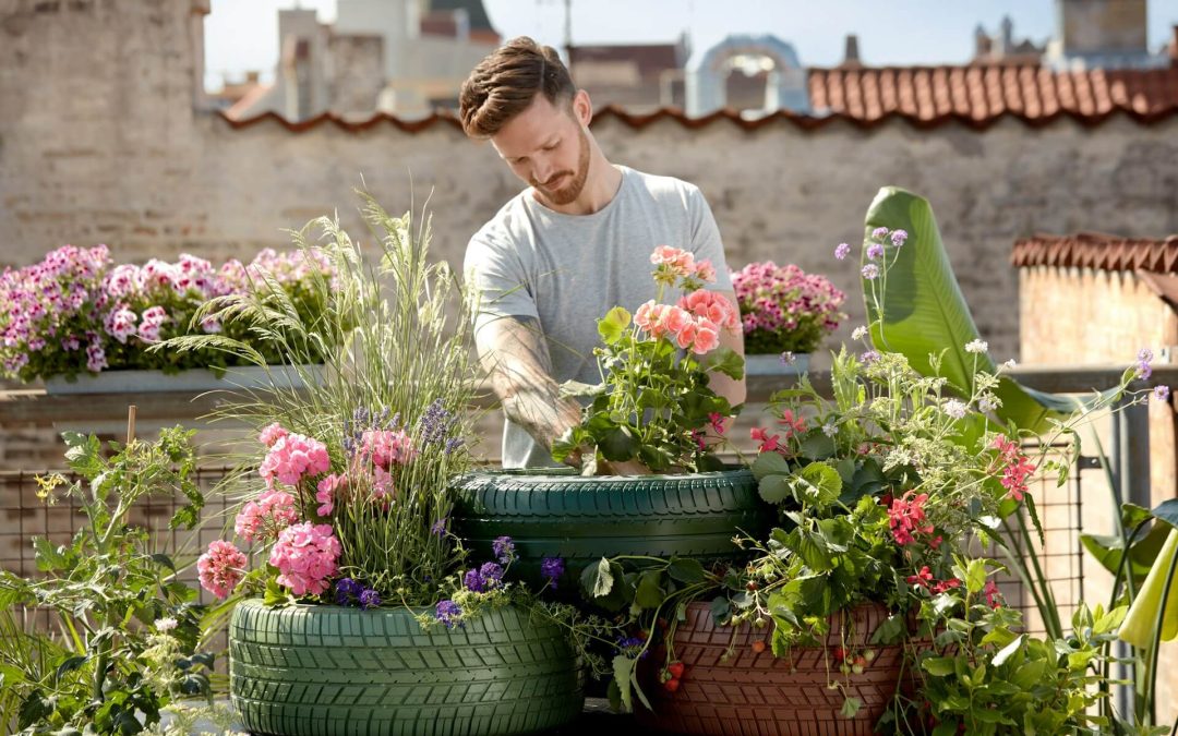 Welkom bij Eden’s Retreat: een tuin van rust