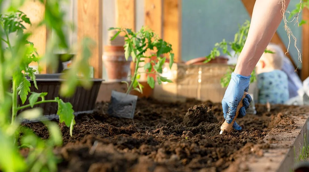 Een Oase Van Bloei En Rust: Het Verkennen Van De Wonderen Van Een Tuin